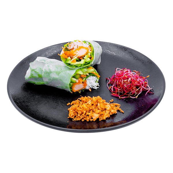 SAYTO-Packshot_600x600-ENTREES-Rouleaux_Printemps-413_D.png